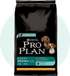 Puppy Dog Food